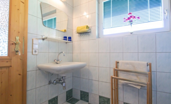 Haus Primosch - Auszug aus dem Badezimmer in der Ferienwohnung für 2-3 Personen